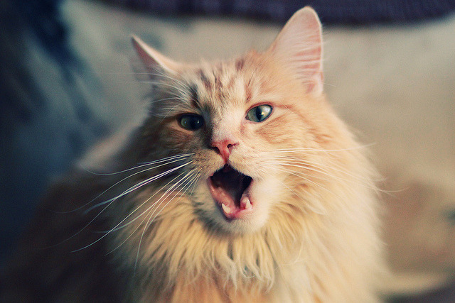 团队压制与个人接管,独行侠的精密协作与恩比德的末节统治