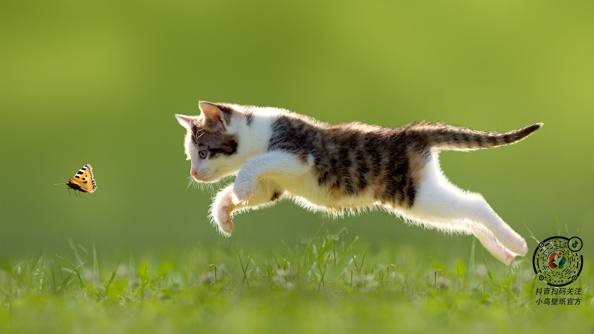 新西兰风暴席卷巴黎?阿劳霍东决封神一战颠覆想象