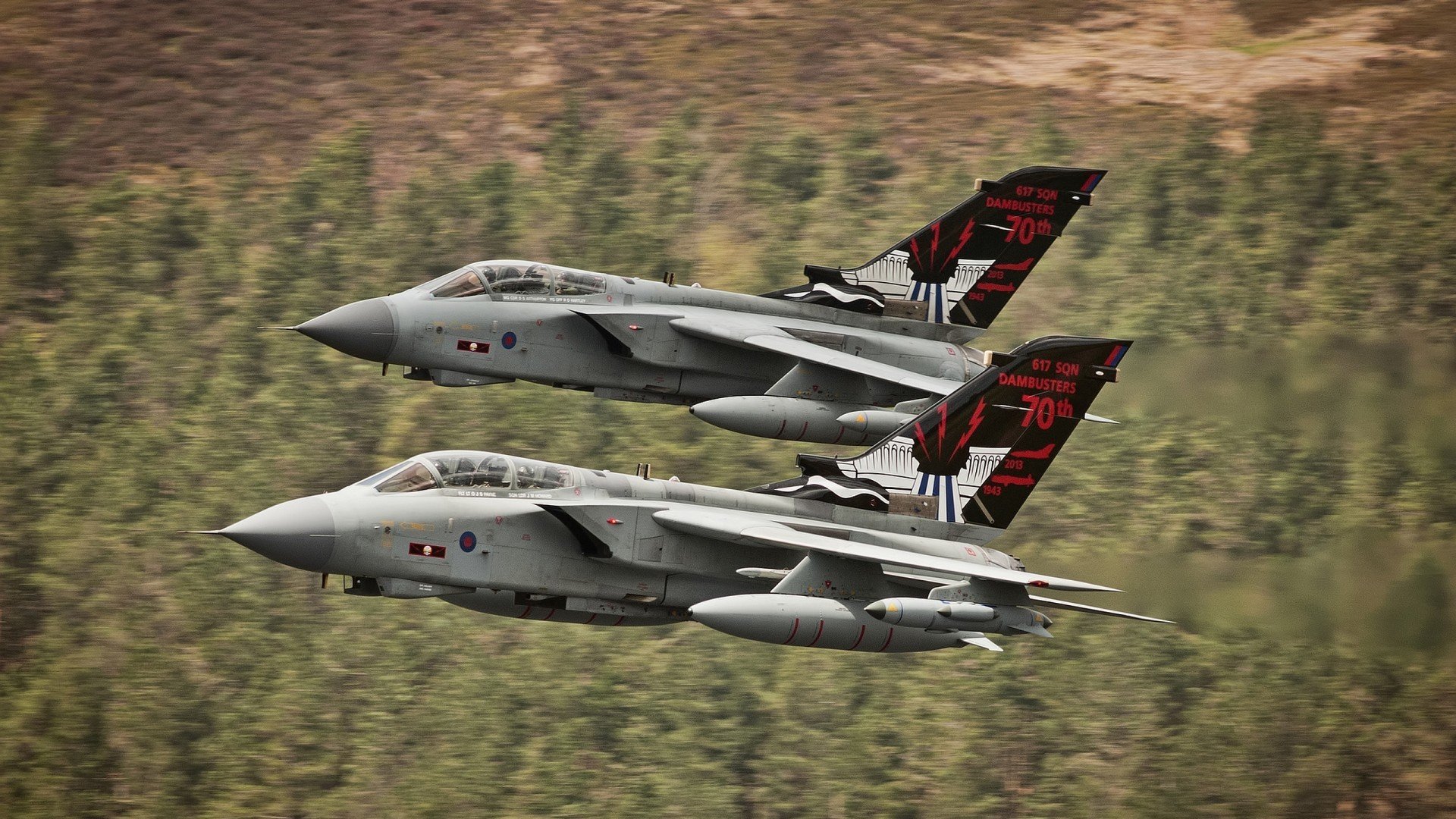 绿茵铁闸降临硬木战场,NBA季后赛之夜的禁区统治者